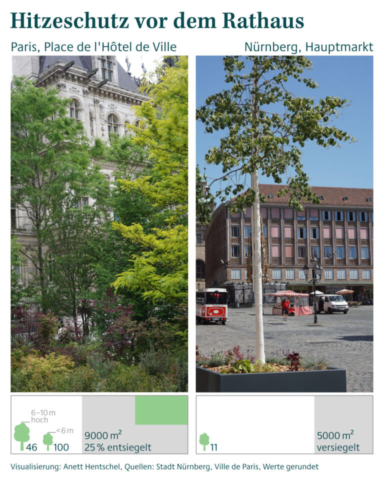 Die Plätze vor dem Rathaus in Paris und Nürnberg im Vergleich: In Paris ist der Place de l'Hôtel de Ville 9000 m2 groß, davon wurden 25 % entsiegelt. Es wurden dort rund 150 Bäume gepflanzt. In Nürnberg ist der rund 5000 m2 große Hauptmarkt komplett versiegelt und es stehen 11 mobile Bäume am westlichen Rand. Visualisierung: Anett Hentschel