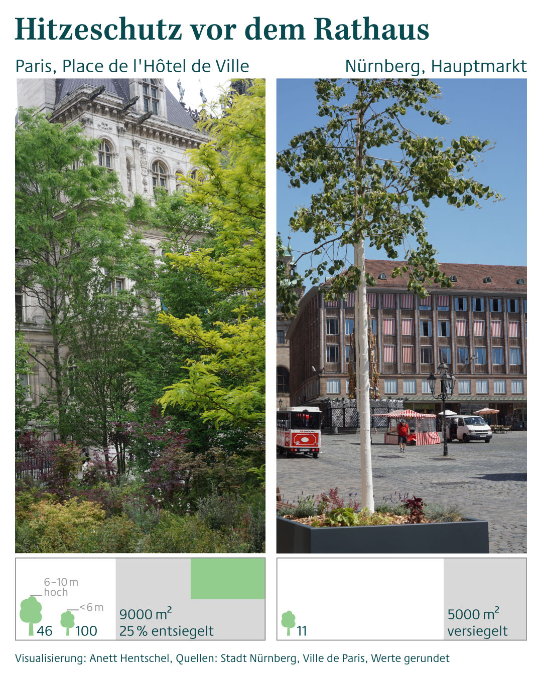 Die Plätze vor dem Rathaus in Paris und Nürnberg im Vergleich: In Paris ist der Place de l'Hôtel de Ville 9000 m2 groß, davon wurden 25 % entsiegelt. Es wurden dort rund 150 Bäume gepflanzt. In Nürnberg ist der rund 5000 m2 große Hauptmarkt komplett versiegelt und es stehen 11 mobile Bäume am westlichen Rand. Visualisierung: Anett Hentschel
